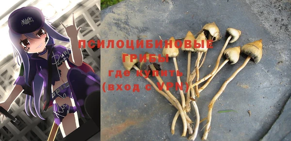 трава Аркадак